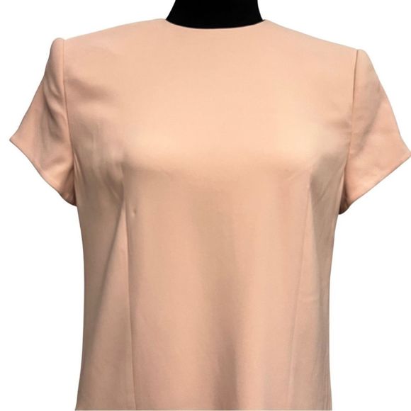 Landscape Shift Dress Pink - Picture 3 of 7